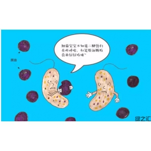 可實現(xiàn)對氯代物完全解毒的厭氧降解菌劑