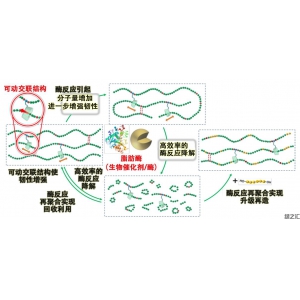 大阪大學開發(fā)出可生物降解聚合物,韌性提升8倍、可降解性和可回收性提高20倍