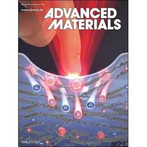 解鎖大自然的百寶箱—Advanced Materials出版生物聚合物?？?></div>
								</a></li>
														<li id=