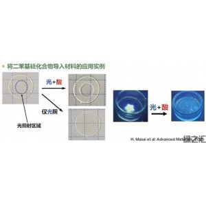 東京大學(xué)開(kāi)發(fā)出兼具光穩(wěn)定性與光分解性的高分子材料