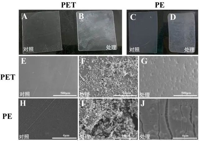 突破塑料降解難題！兩周可將PE降解為碎片，中國科學(xué)家最新發(fā)現(xiàn)PE降解酶！(圖2)