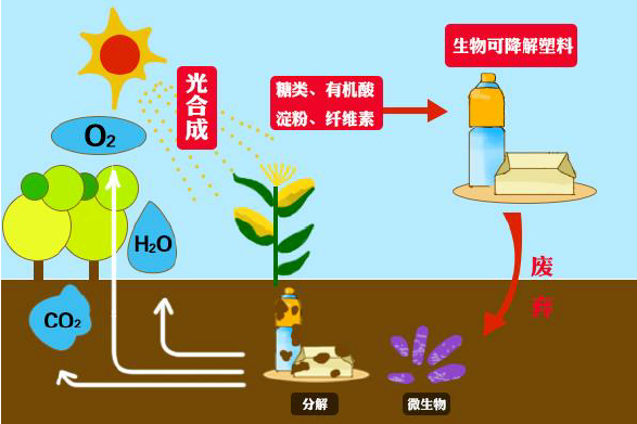 禁塑令之下，“可降解”迎來聚光燈(圖3)