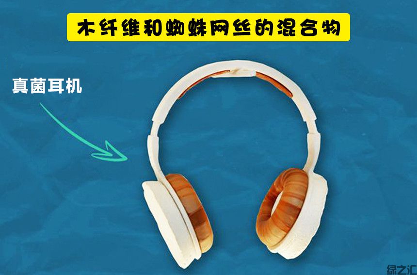 未來10種可替代塑料的可生物降解的生態(tài)材料(圖1)
