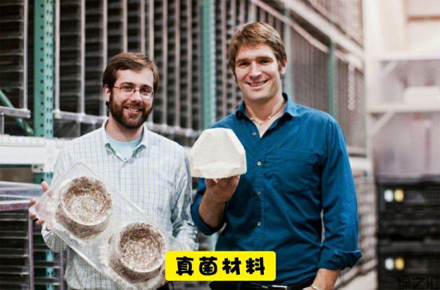 未來10種可替代塑料的可生物降解的生態(tài)材料(圖3)