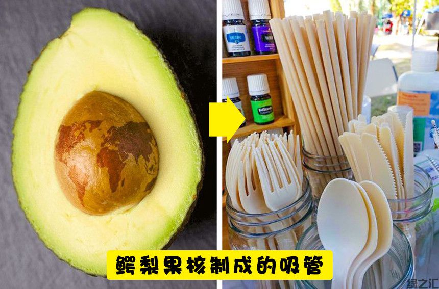 未來10種可替代塑料的可生物降解的生態(tài)材料(圖2)
