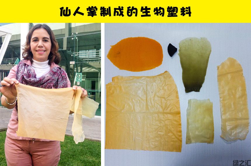 未來10種可替代塑料的可生物降解的生態(tài)材料(圖4)