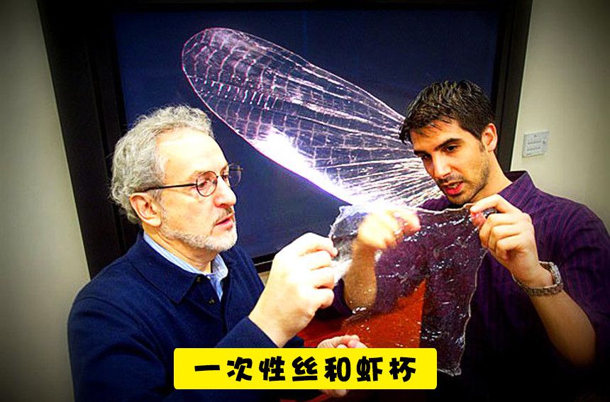 未來10種可替代塑料的可生物降解的生態(tài)材料(圖10)