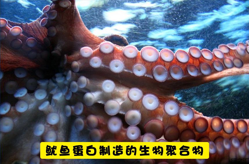 未來10種可替代塑料的可生物降解的生態(tài)材料(圖7)