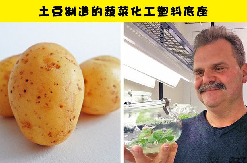 未來10種可替代塑料的可生物降解的生態(tài)材料(圖8)